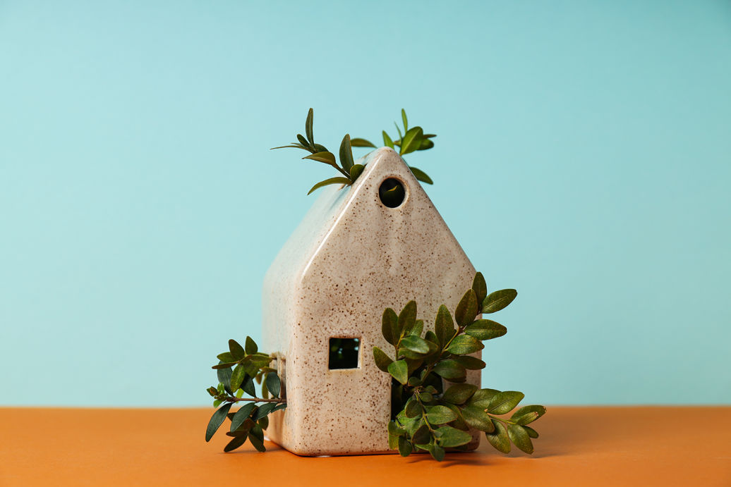 Maqueta decorativa de casa con plantas verdes sobre fondo azul, símbolo de hogar sostenible y naturaleza